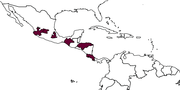 map of Stelis costaricensis     Friese, 1921